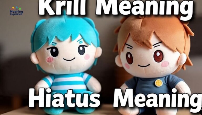 Krill Meaning & Hiatus Meaning 2025: Professional and Casual