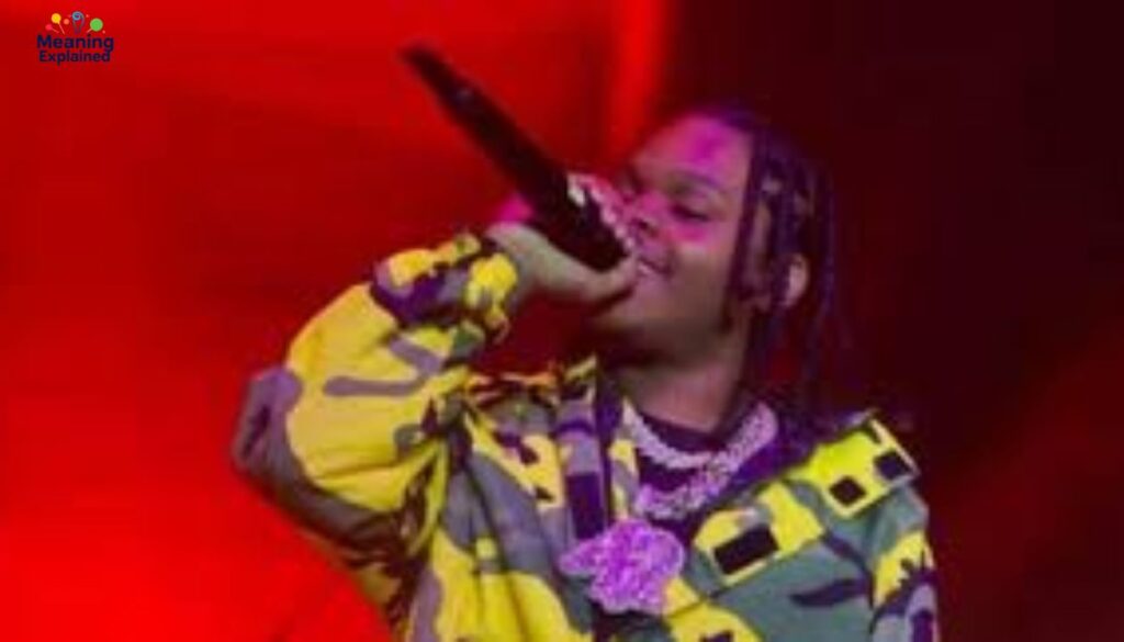 Music Career and Income Streams 