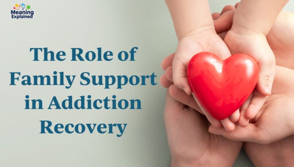 The Role of Family and Support Systems in Recovery 
