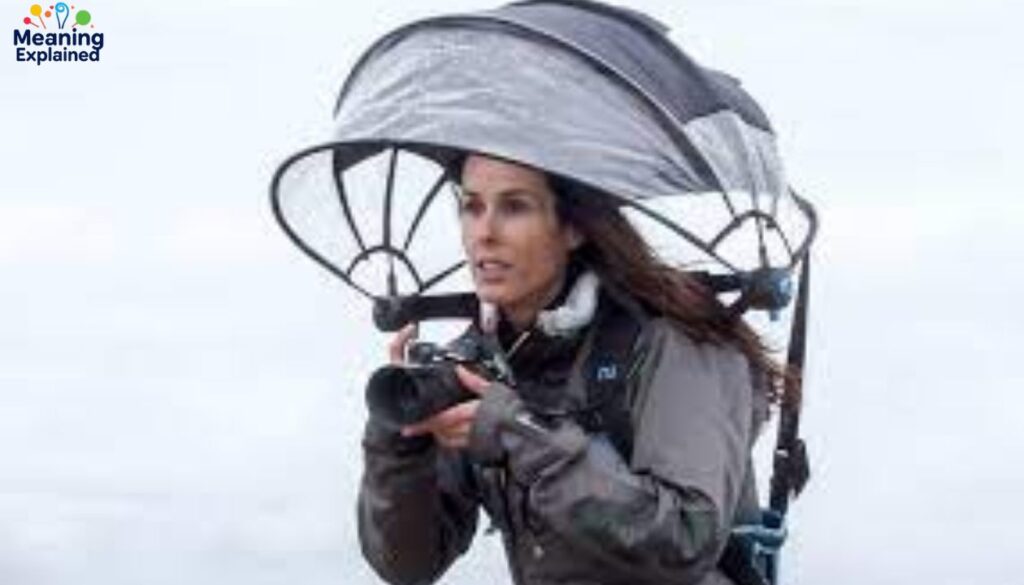 Customer Sentiment and Market Response