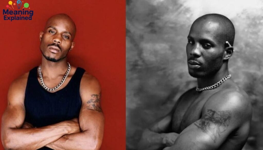 Education and Early Interests