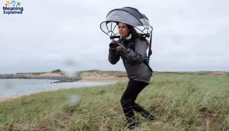 Nubrella Shark Tank Net Worth 2025: Alan Kaufman’s Success Story