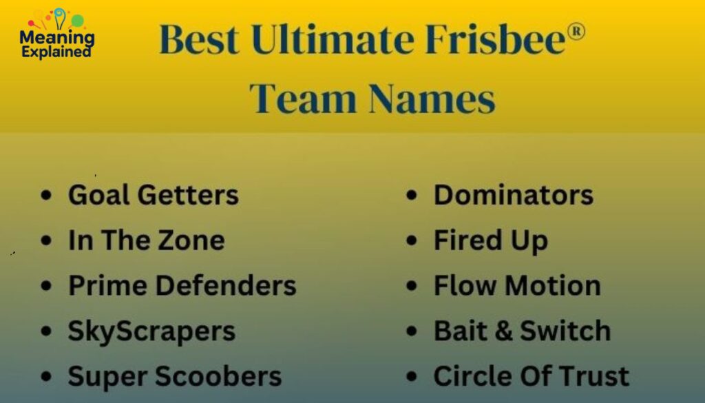 320 Creative Ultimate Disc Team Names For All Types Of Events