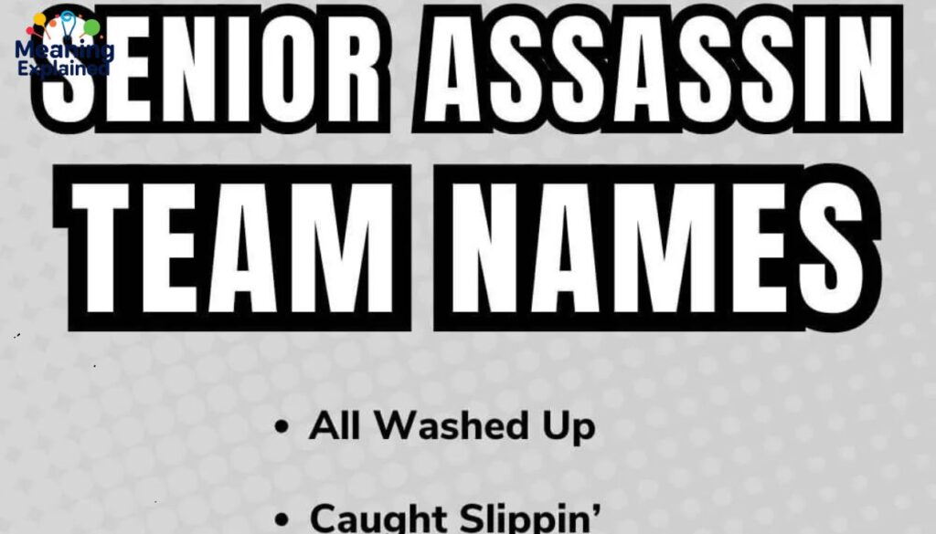 Funny Assassin Team Names