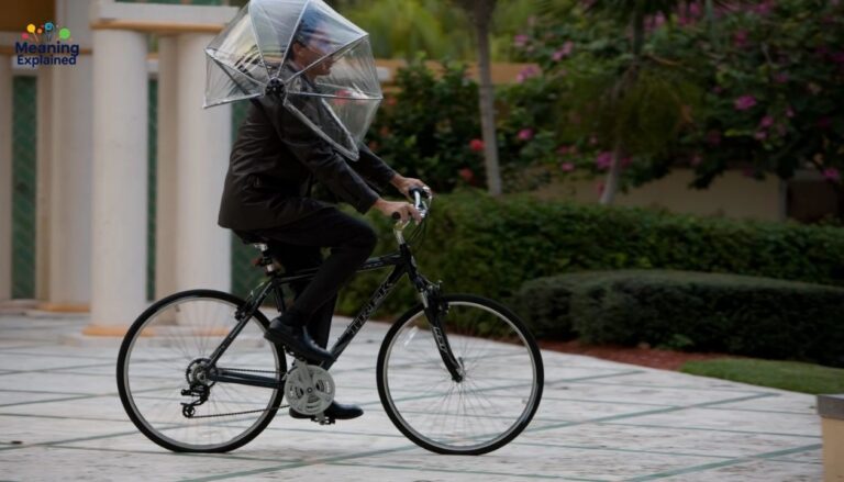 Nubrella Shark Tank Net Worth Reveals a Shocking Twist Nobody Expected