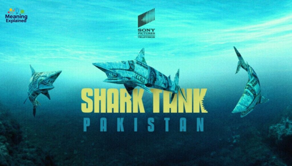 Future Plans and Goals