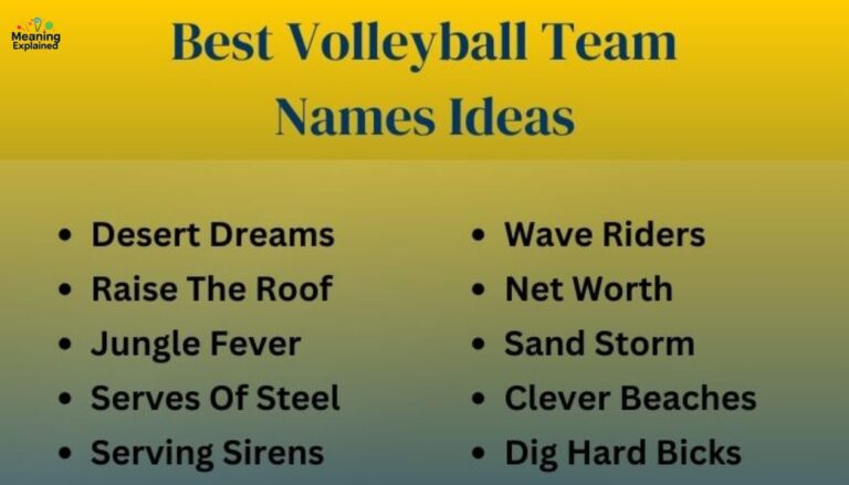 139 Volleyball Team Names That Are a Hit
